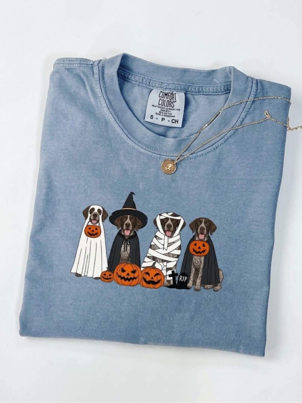 Comfort Colors Light Blue Halloween Dogs Tee with Pumpkin Graphic
